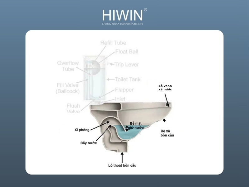 Thân bồn cầu có bao gồm ống thoát và xifong