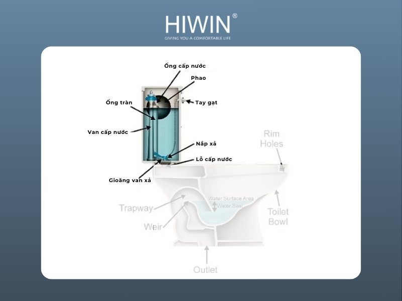 Phần két nước là bộ phận quan trọng nhất của bồn cầu