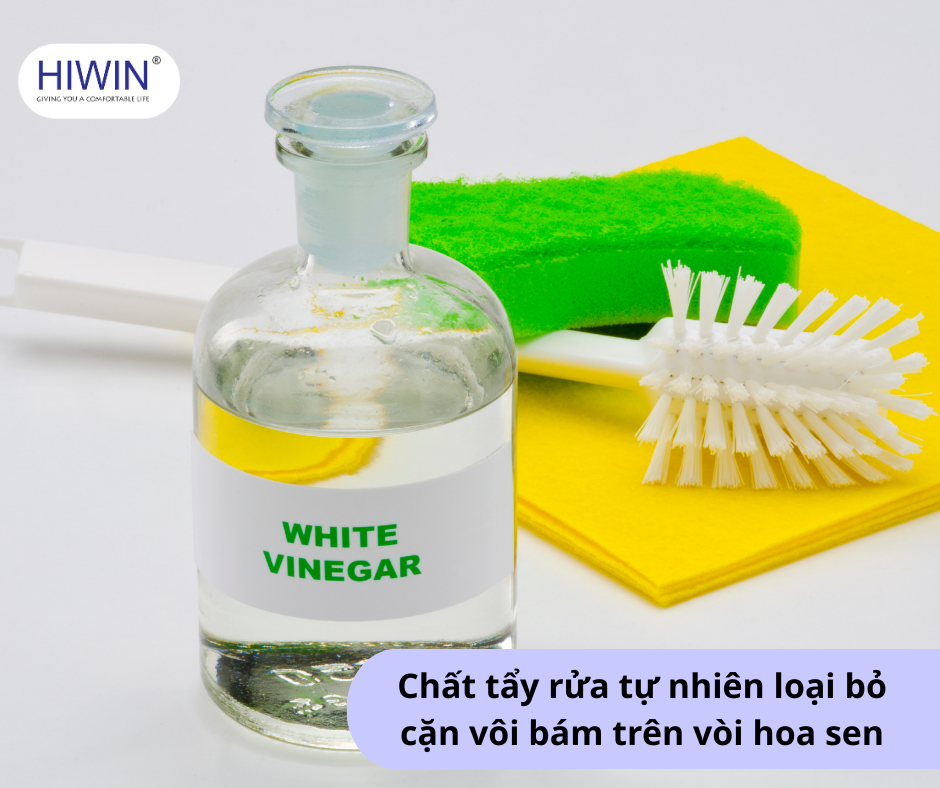 Giấm trắng là một trong những chất tẩy rửa tự nhiên hiệu quả giúp loại bỏ cặn vôi bám trên vòi hoa sen