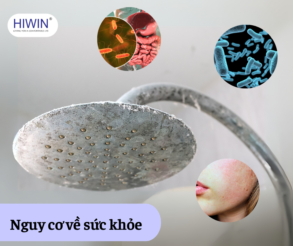 nguy cơ về sức khỏe khi sử dụng vòi hoa sen bẩn