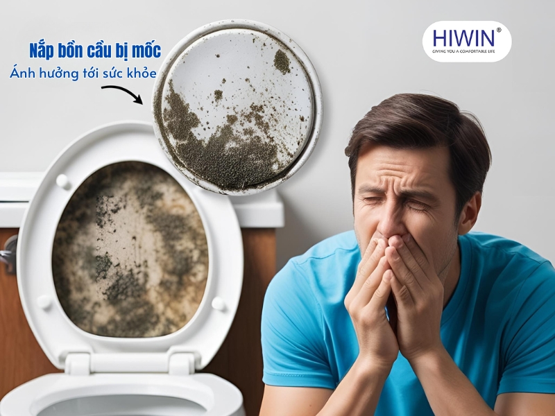 Nắp bồn cầu bị mốc có khả năng gây hại cho sức khỏe