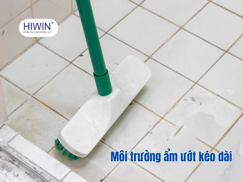 Môi trường ẩm ướt giúp nấm mốc dễ dàng sinh sôi