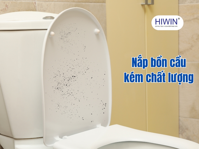 Nắp bồn cầu kém chất lượng là điều kiện lý tưởng cho nấm mốc phát triển