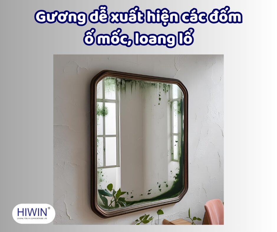 Không có lớp chống ẩm