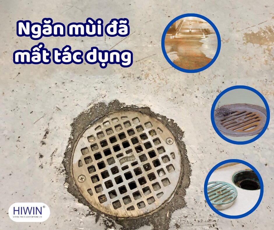 Bộ phận ngăn mùi đã mất tác dụng khiến mùi hôi khó chịu bốc lên
