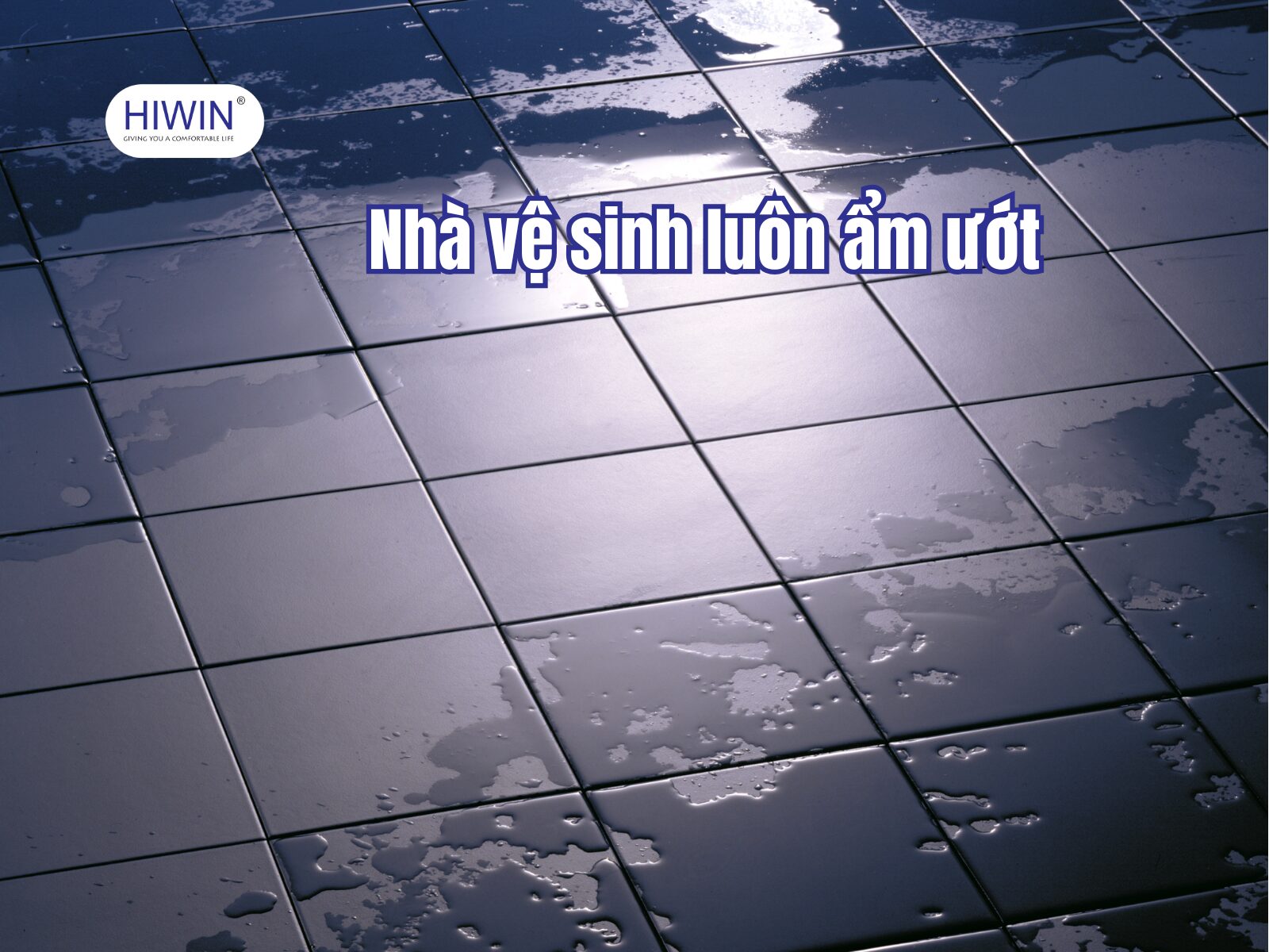Có nhiều nguyên nhân khiến nhà tắm luôn ẩm ướt