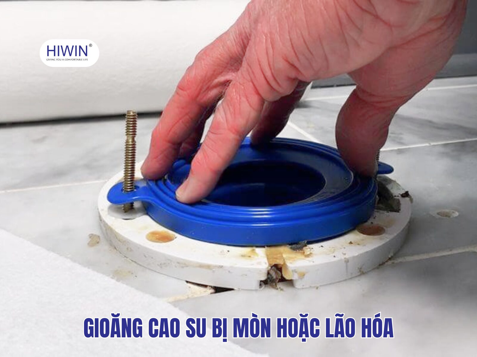 Chân bồn cầu bị rỉ nước do gioăng cao su bị hỏng